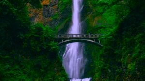 The Echo of Falling Skies: Singhpur Reverse Waterfall and the Untold Waterfall Stories of Gwalior