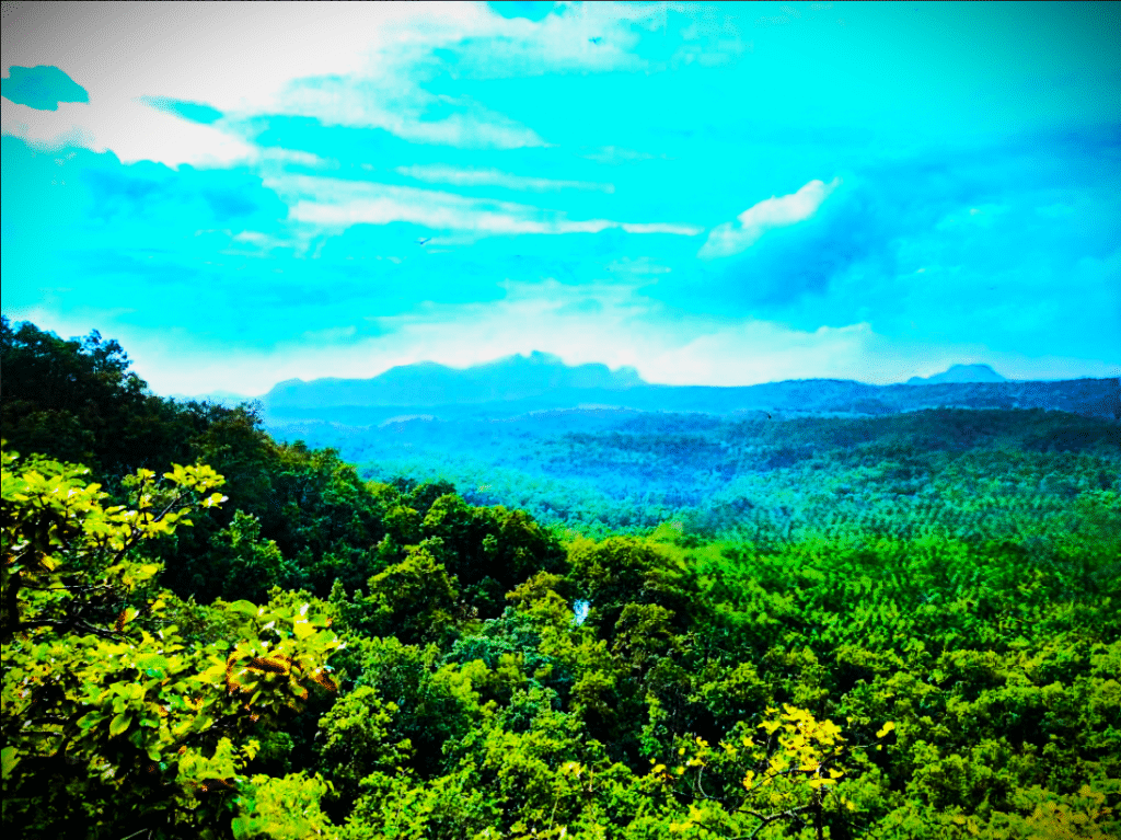 Pachmarh Tourist Places 